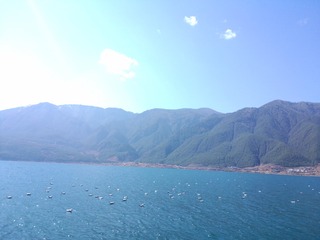 DE61C83D-6A9F-405F-A4F2-56A4C8AF3976/L0/001