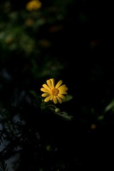 82735B95-0498-4CCF-A5E5-76EADE210D95/L0/001