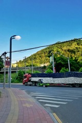 556617