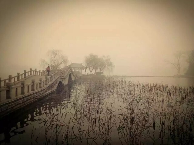 大明湖畔夏雨荷边