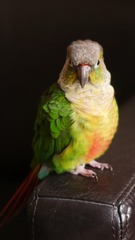 BB7B109F-EEEB-41E1-8F48-5B834484CDCE/L0/001