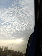 1000008686