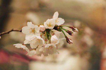 1591A0EB-9FA4-4128-A7D7-0EAAC49AFA95/L0/001