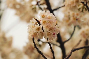 A4A20C40-B791-49AF-A116-83879982C6F4/L0/001