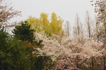 952F7B18-E66B-4AF6-B979-F450557FB375/L0/001