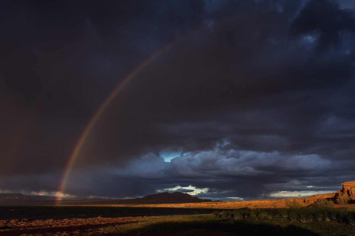 黑暗中的一抹彩虹