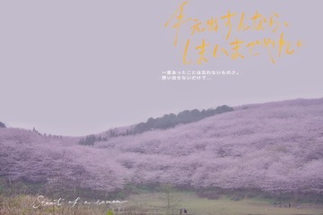 F7AA452F-DB98-4BE8-B49C-041E99C7F4E8/L0/001