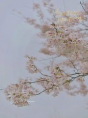 972FC592-C873-43C5-93C3-73F1FDB6E0F4/L0/001