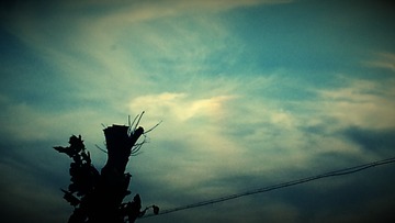 1EA8DE98-AE4F-4CD0-8A78-5007CEB4A6AA/L0/001