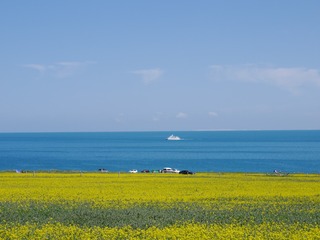 E45590A8-8AB6-4668-B890-DF62A62A8D8E/L0/001