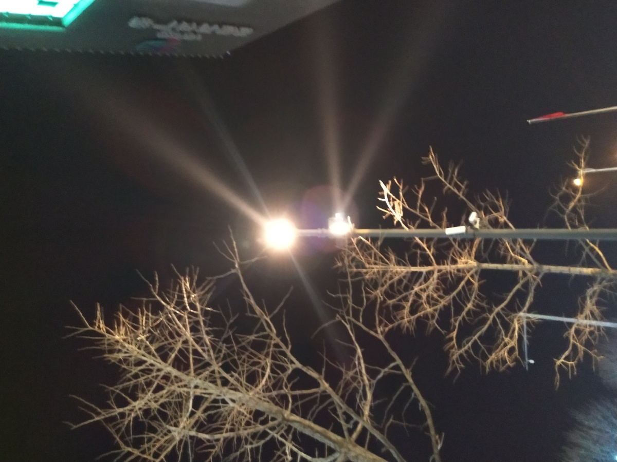 夜景 光 元宵节彩灯 光线 冬日 路灯 树枝 夜