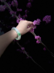 18DBB8AE-7F1D-4B60-9D59-48D13BEECB8D/L0/001