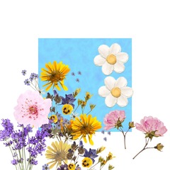 D9DC1A97-40FF-4E80-9144-737B5C394920/L0/001