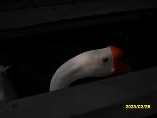 2171608