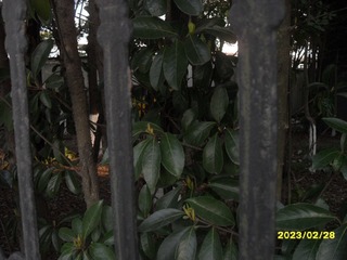 2171637