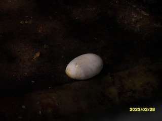 2171613