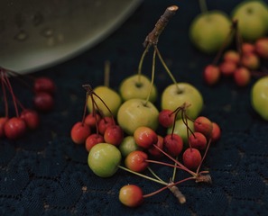 5C0B0F41-966F-4B54-BA4A-CF7AC641C3E8/L0/001