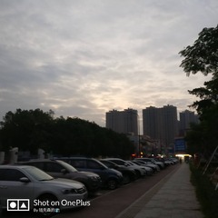 1900817