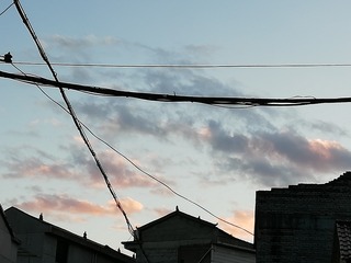1190071