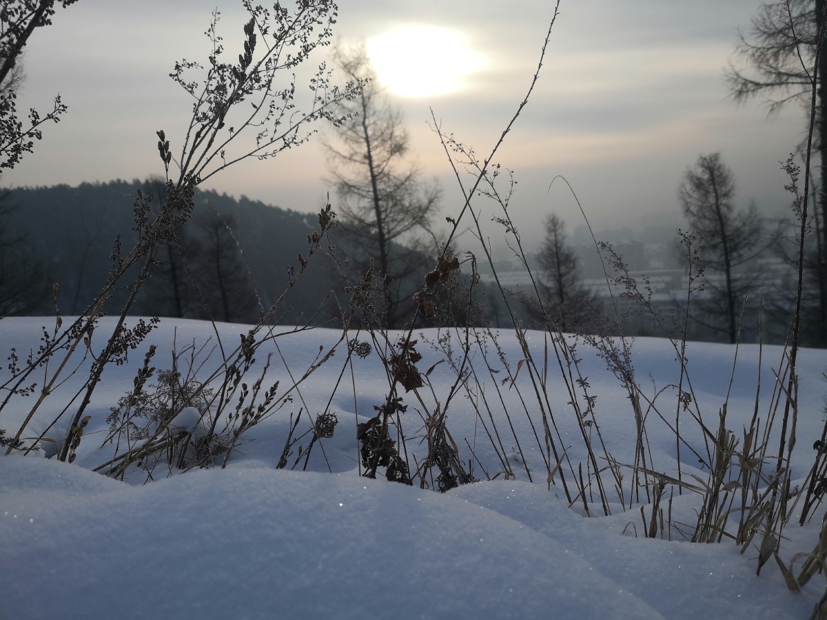 美丽的家乡大东北黑龙江雪城牡丹江