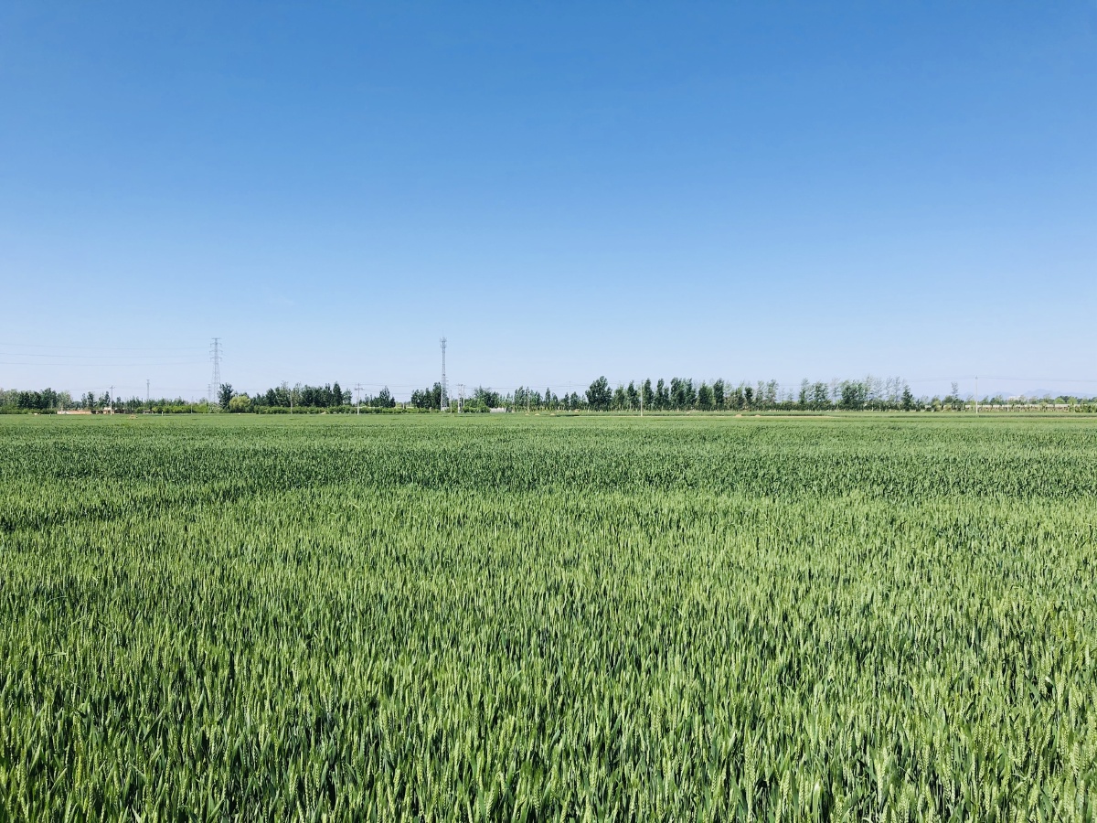 平行世界里的天空与大地