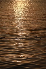 B05D7535-66C1-435E-9806-A8048C471391/L0/001