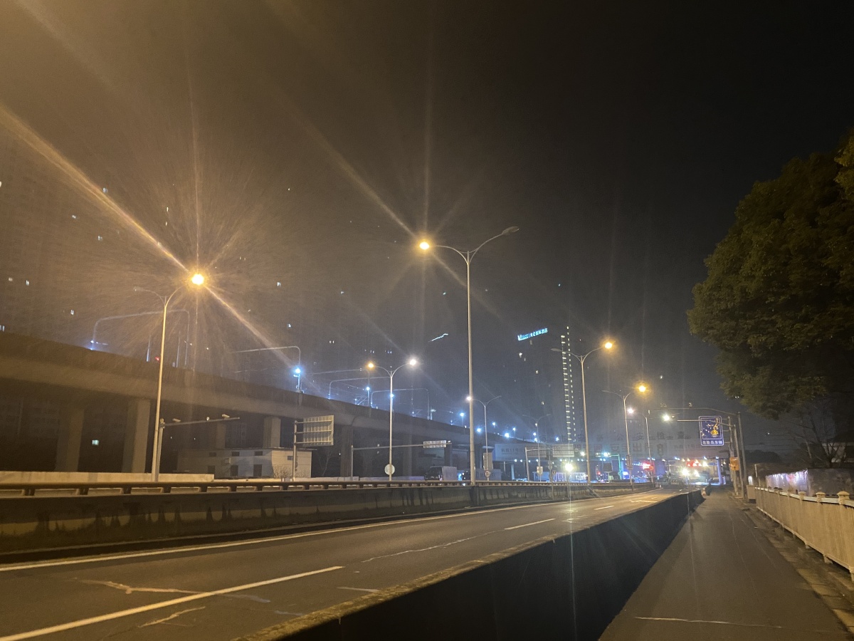 凌晨两点的街道忽然发现桃花开了春天来了