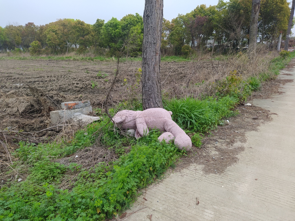 被遗弃的玩偶