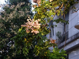 A898D704-49EA-4D18-9B59-AC48C5577702/L0/001