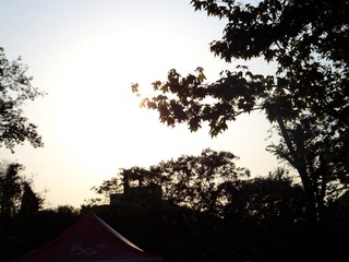 3CD54033-BE33-4F47-BB94-09ED8308E0EB/L0/001