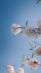 06C1DC13-0652-4C1A-B35F-AEA25AB6F8C4/L0/001