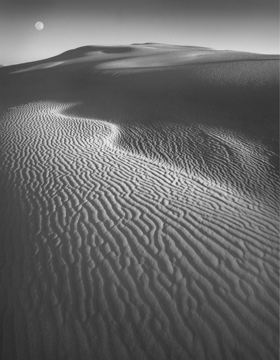 沙影 br /> "影子的灰色调子是画面中最宝贵的颜色.