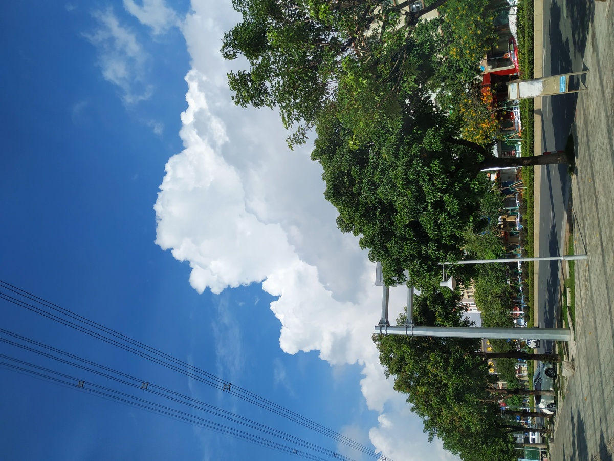珠海的天空和街道干净而透亮走在街头抬眼望天空连呼吸都变得明亮轻快