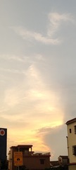 1000005613