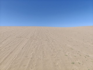 1000012382