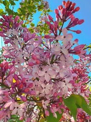4ABC1A96-FE07-4255-B0B8-53513B45CE35/L0/001