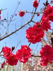 0F4290EE-1347-402C-95B7-F2E0E645EA22/L0/001