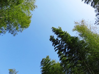 24B8C0AA-2846-49A9-B4FC-0DB2688B7228/L0/001