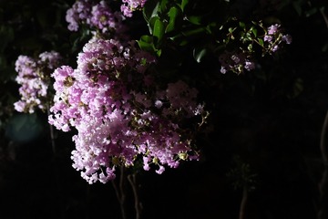 A5BE2174-E11D-496F-B202-75F8CF021D73/L0/001