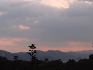 7D62CC43-014F-4A8C-B554-B4802FEEF66A/L0/001
