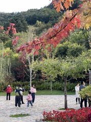 10A17B86-9BA0-4953-A0D1-3E21C94B22F3/L0/001