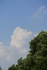 A9F15AE5-42CC-453F-B376-0C205506E7B5/L0/001