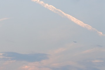 BCECA71B-E17B-4BDE-81AF-E48CEB9736B4/L0/001