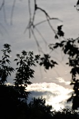 2FED1D07-DE5E-4CD5-9E99-0B72305ECC3A/L0/001
