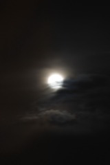 A74A67B5-9534-4E65-B5B6-57DF34B8089D/L0/001