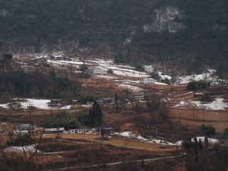 176010