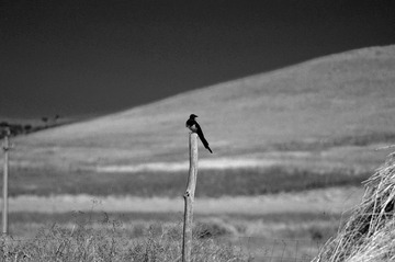 _DSC5811.jpg