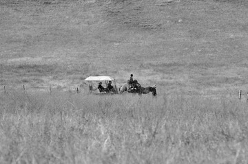 _DSC5763.jpg