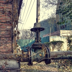 HDR