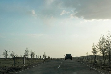 jpg